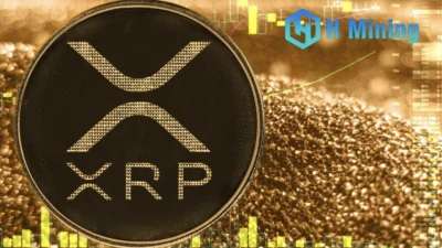 Profit from holding coins: Exploring the market prospects of mining XRP with H Mining