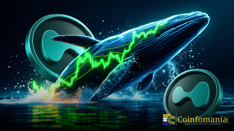 Whale Opens Massive Stake! 20× ETH Short on Hyperliquid