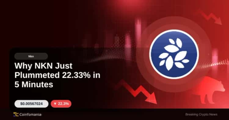 Why NKN Just Plummeted 22.33% in 5 Minutes