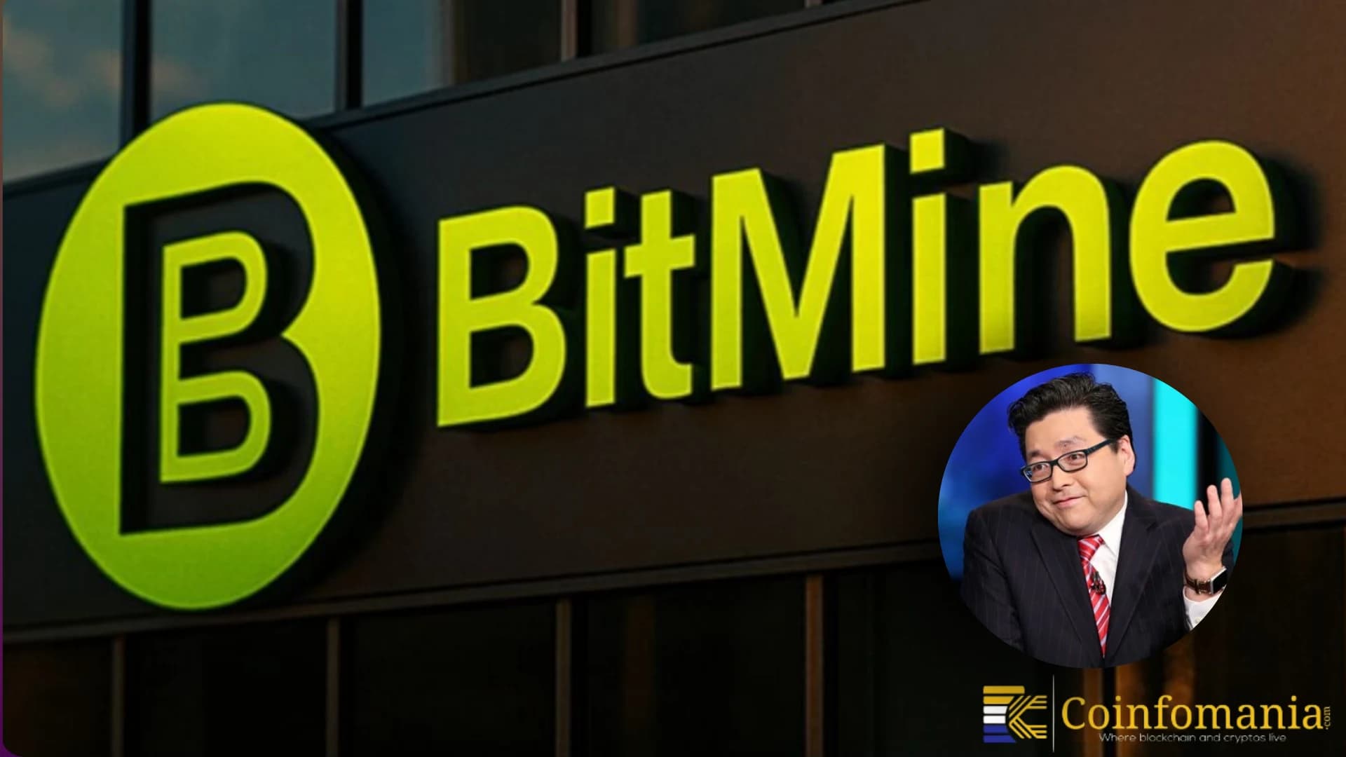Tom Lee’s Bitmine achète 82 millions de dollars d’ETH dans une nouvelle accumulation