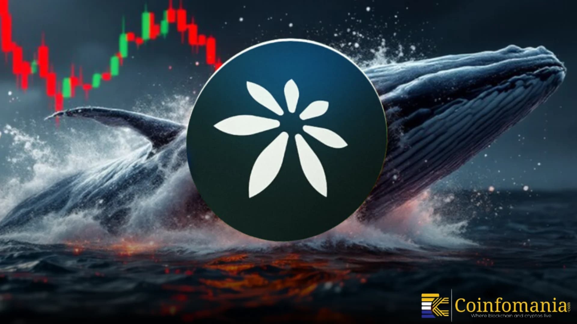 Whale Buys 1.26M EDEL as Testnet Users Cross 35K