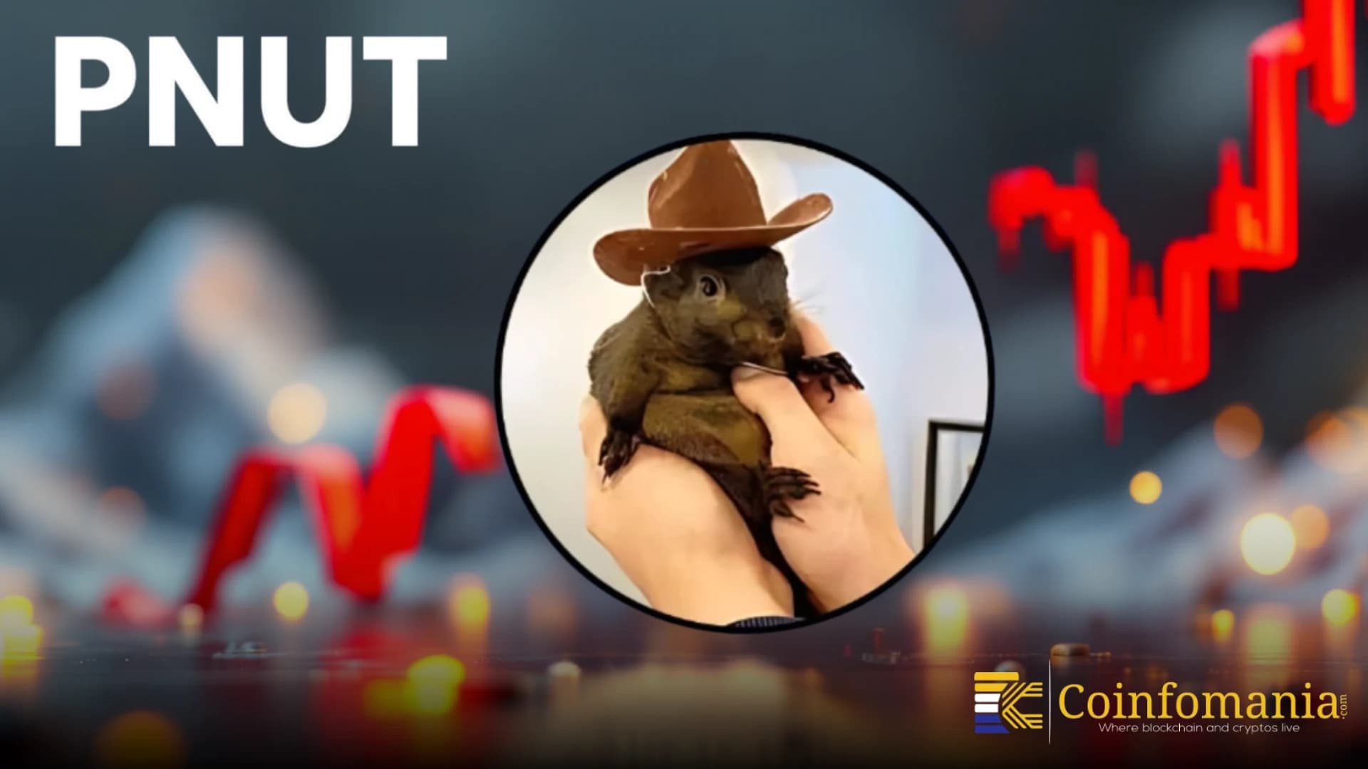لماذا تثير خطوة PNUT BELKA اهتمام المتداولين في العملات المشفرة؟