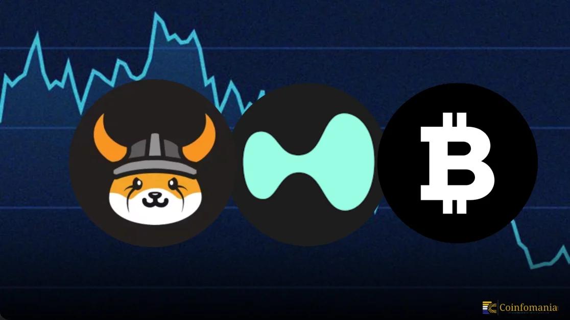 Altcoins Like Virtuals Protocol, Floki, and Hyperliquid are Drawing Attention Alongside Bitcoin