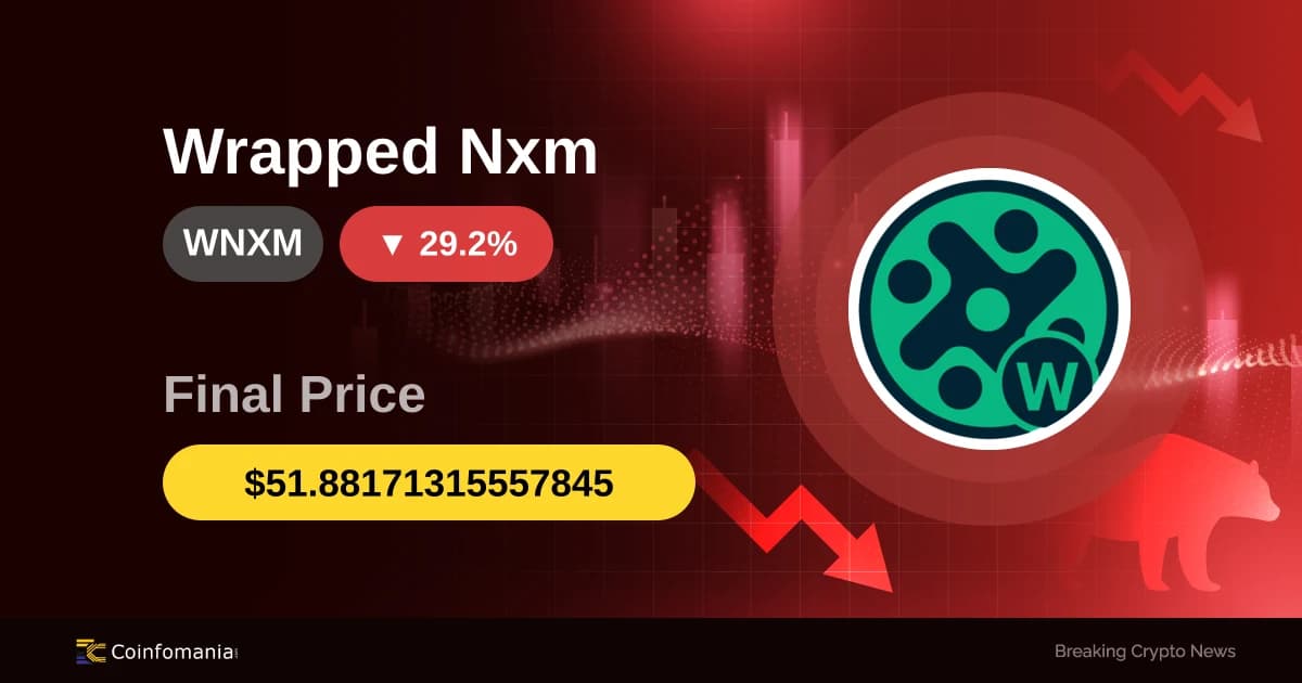 WNXM in Freefall: 29.18% Plunge Shocks Traders