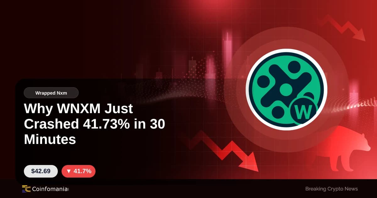Why WNXM Just Crashed 41.73% in 30 Minutes