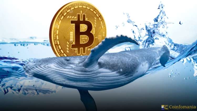 Bitcoin Whale Shifts 23,968 BTC for ETH, Still Holds $6.2B