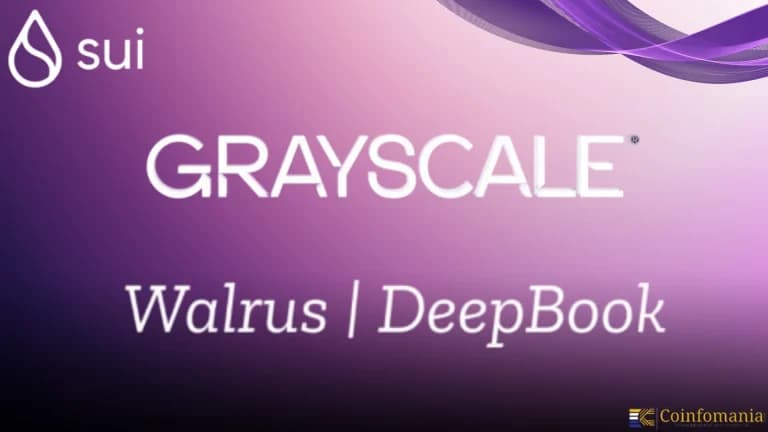 Is a Grayscale Hype Token Investment Worth the Risk?