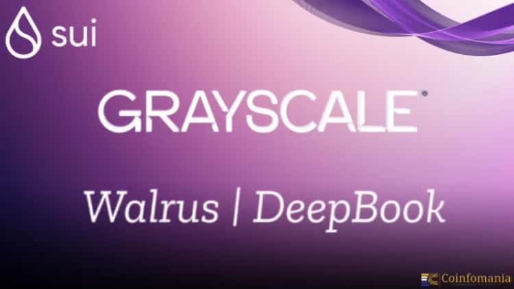 Is a Grayscale Hype Token Investment Worth the Risk?