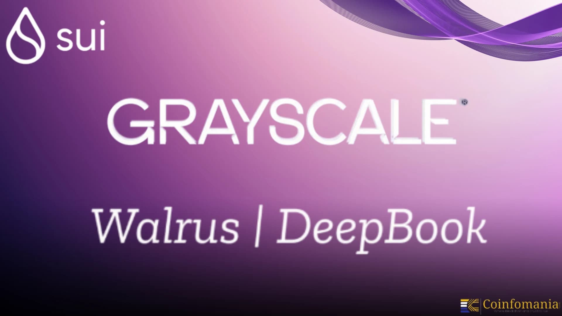 Is a Grayscale Hype Token Investment Worth the Risk?
