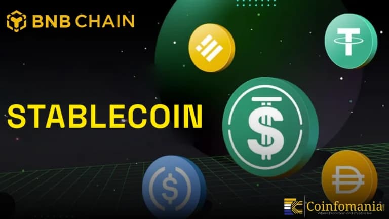سلسلة BNB تتصدر نشاط العملات المستقرة مع 15 مليون مرسل