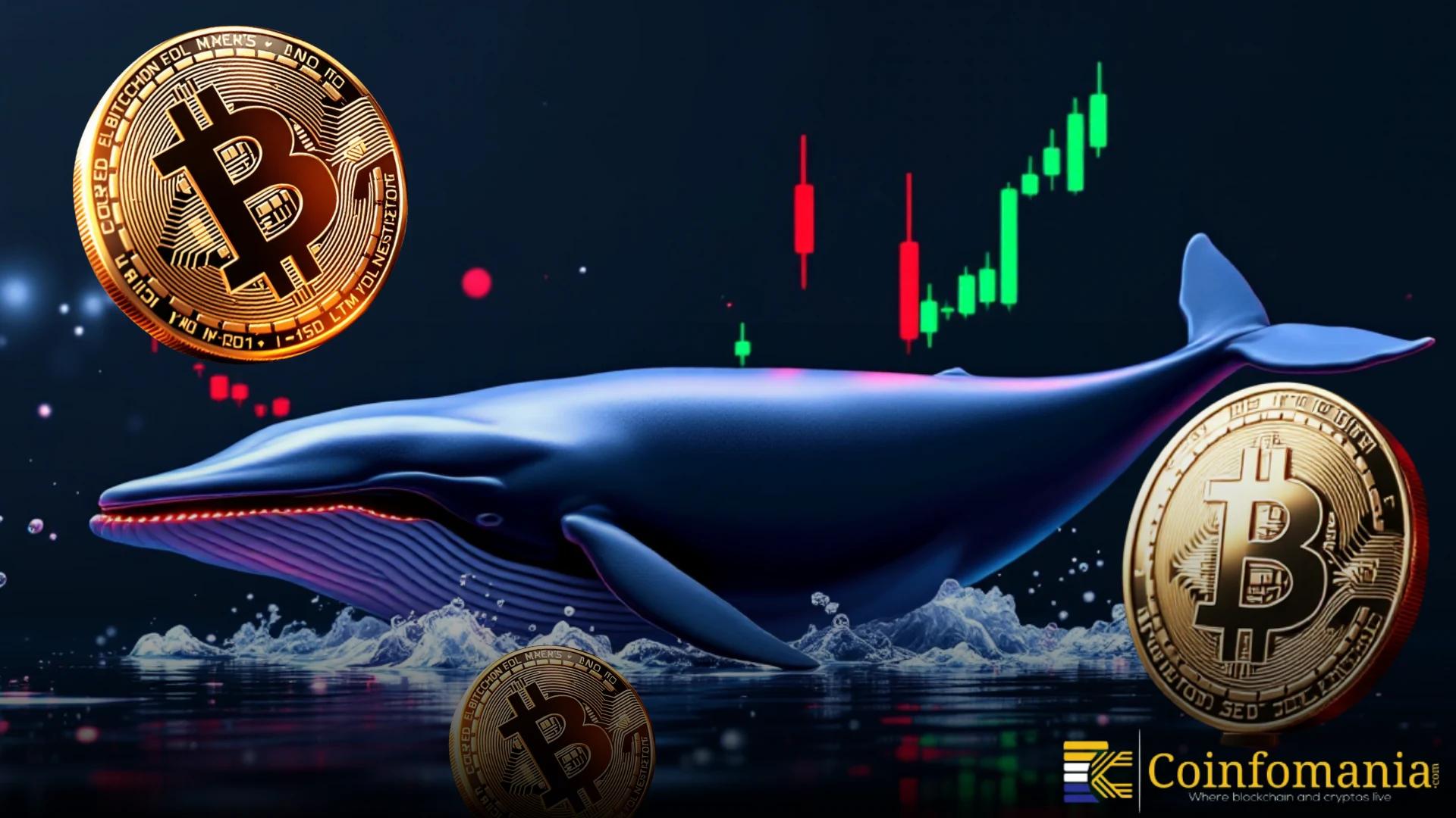 Un vétéran légendaire du Bitcoin renforce ses positions alors que d’importantes positions longues plongent davantage dans le rouge