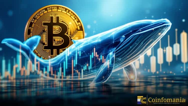 Bitcoin Whale Opens $54.2M Long With 40x Leverage