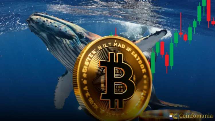 Une baleine crypto réalise un profit de 759 % sur le $PING en moins de deux jours