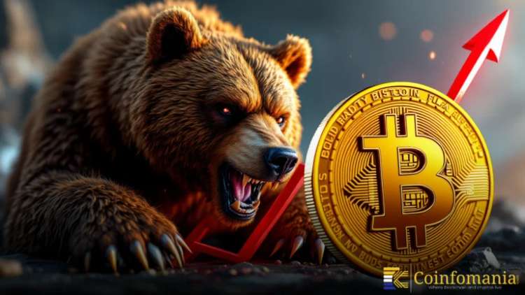 Bitcoin Bear Market: CryptoQuant Signals Possible 2026 Low