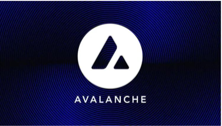 Cardano and Avalanche Expand While BullZilla Ignites as a Top Crypto Presale for 2025