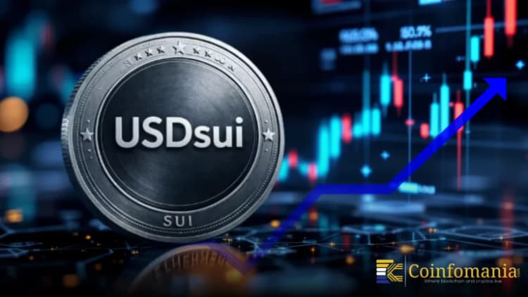 Perché il boom di USDSui ha superato rapidamente i 75 milioni di dollari?