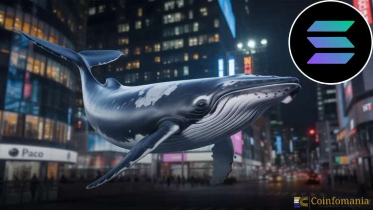 Solana Whale Activity Confirms Growing Institutional Interest