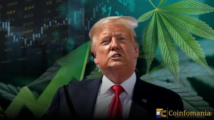 U.S. Marijuana Stocks Jump on Federal Reclassification News