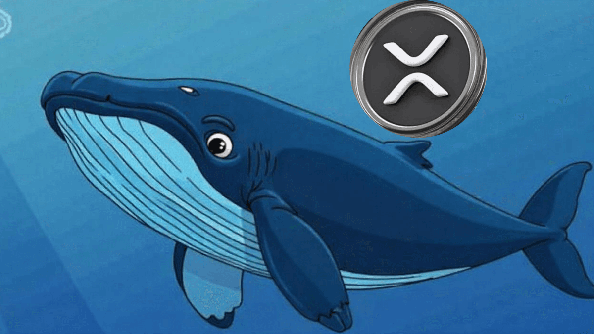 XRP Whale Transfers $60M to Coinbase as Investors Explore Cloud Mining via EarnMining