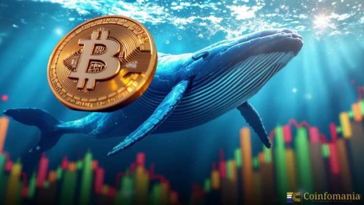 Le « cétacé » BitcoinOG augmente son short de 227 M$ et transfère 587 M$ en BTC vers des plateformes centralisées