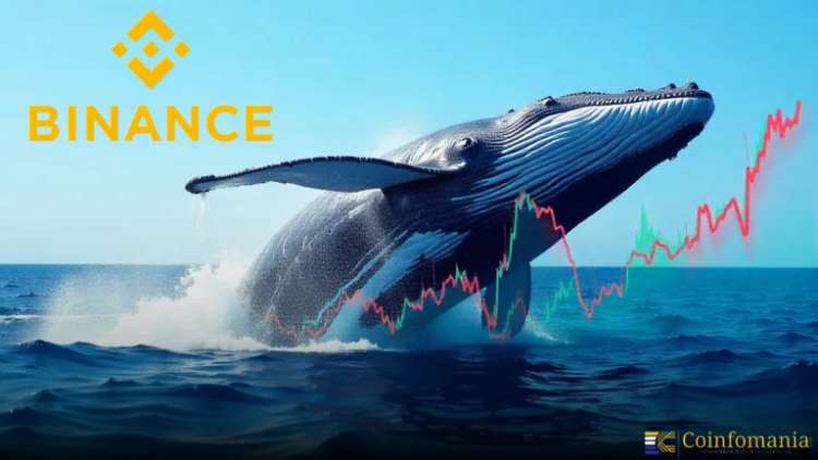 Whale Doubles $WLD in 12 Days, Cashes $8M Profit on Binance