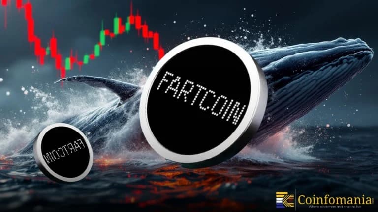 خسارة 3 ملايين دولار بسبب مراهنة على تلاعب FARTCOIN