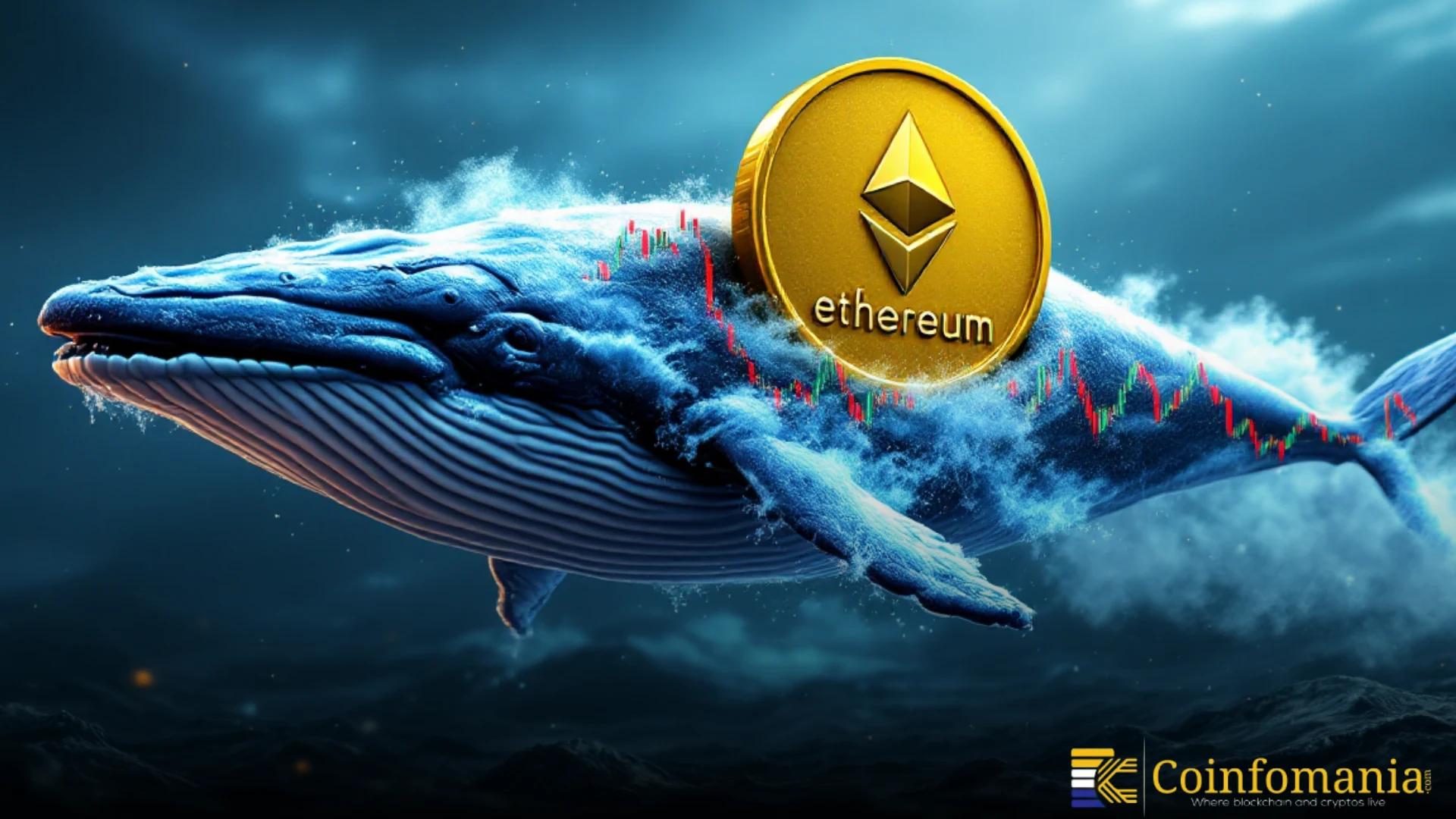 Whale Buys ETH: Could Large Purchases Stabilize Prices?