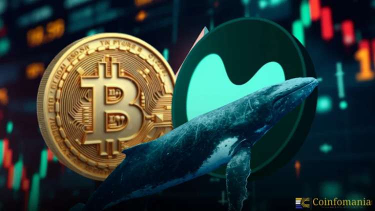 Les Huiles Passent en Mode Haussier : 72 M$ en Positions Longues sur Bitcoin sur Hyperliquid Signalent la Confiance du Marché