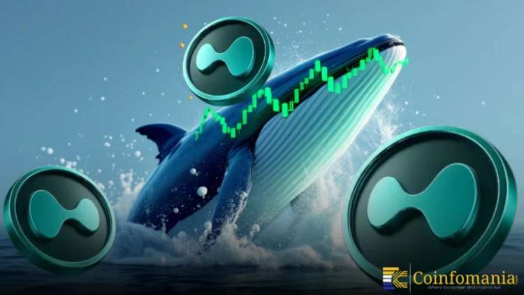 Whales Load Up on HYPE as Fresh USDC Flows Hit Hyperliquid