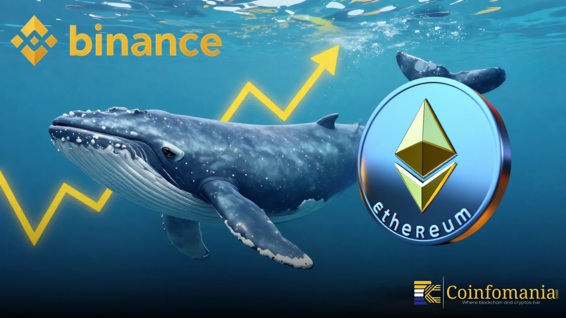 Did A Crypto Whale Just Move $20M In Ethereum To Binance?