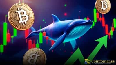 Why Is Bitcoin Whale Inflow Surging On Binance As The Market Slides?