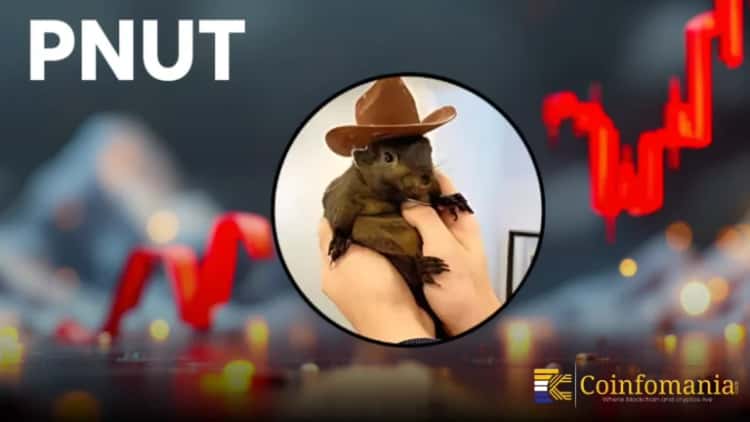 لماذا تثير خطوة PNUT BELKA اهتمام المتداولين في العملات المشفرة؟