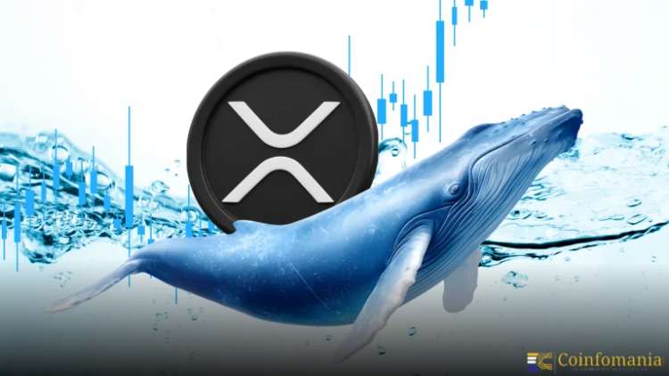 Un cétacé à un milliard de dollars déclenche une nouvelle vague haussière pour XRP