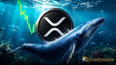I Whales di XRP Detengono 45,83 Miliardi di Token — Maggiore Accumulo dal 2018
