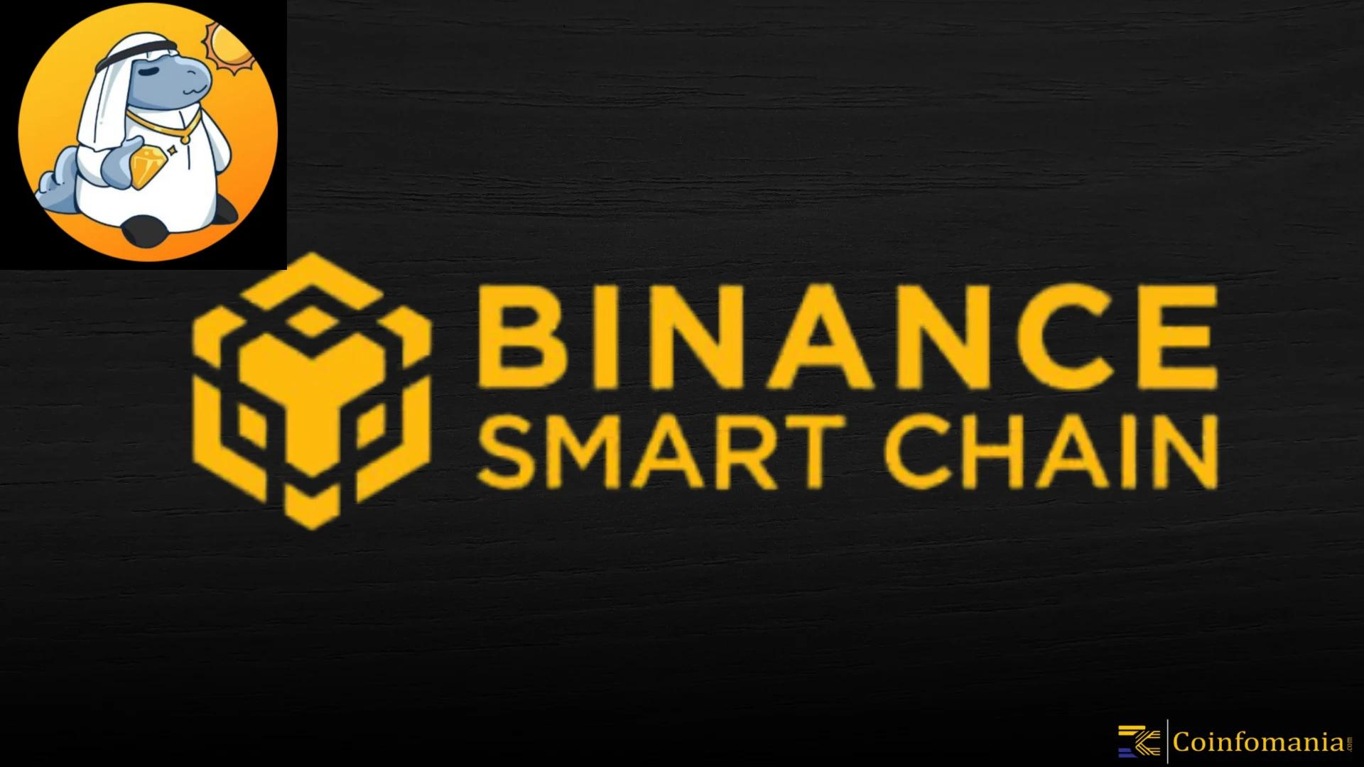 BNB Chains MCP Protocol Powers Caila A Real World AI Agent For Travel And Emergency Response