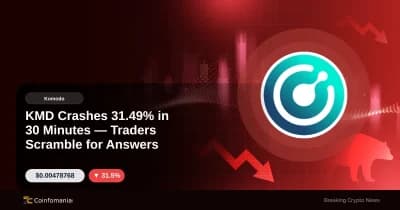 KMD cae un 31,49% en 30 minutos Los comerciantes buscan respuestas