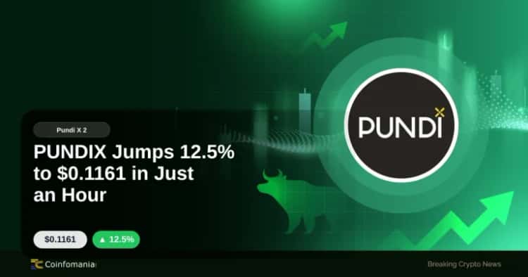 PUNDIX Jumps 12.5% to $0.1161 in Just an Hour