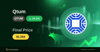Le balene fanno onde — QTUM aumenta del 24% in soli 30 minuti