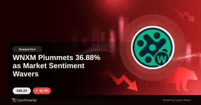WNXM Plonge de 36,88 % alors que le sentiment du marché vacille