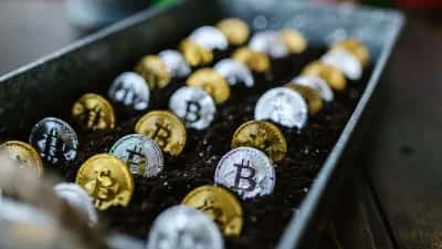 WuBlockchain Reports Key Bitcoin and Ethereum Options Data — How Will This Influence Market Sentiment?
