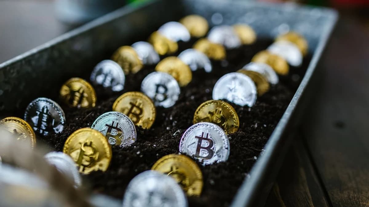 WuBlockchain Reports Key Bitcoin and Ethereum Options Data — How Will This Influence Market Sentiment?