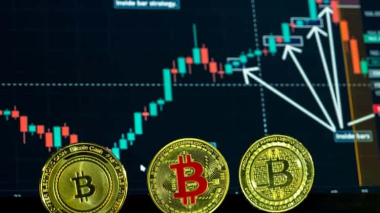 Coinbase Tokenized Stocks Generate $236M Volume Since Launch