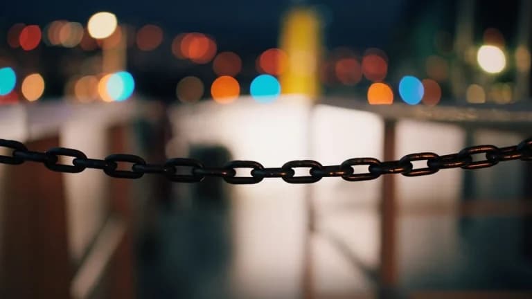 Token Terminal teilt Einblicke in tokenisierte Fonds Was es für den Markt bedeutet