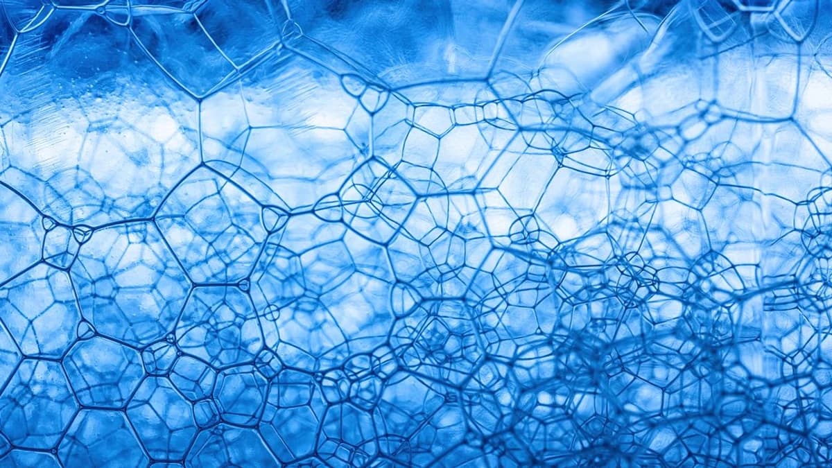 0xngmi Indexes Risk Manager Recommendations — How Will This Impact DeFi?