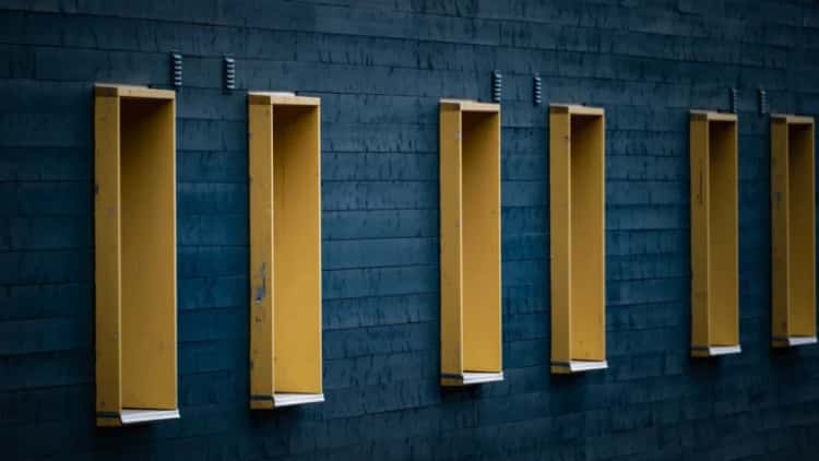 Why TheFlowHorse’s Sharing of Trading Strategies Matters for Investors