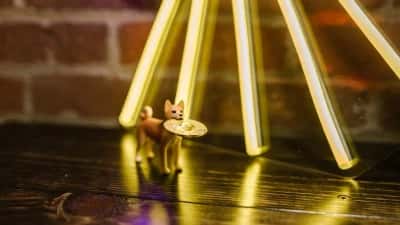 Pourquoi l'accumulation majeure d'ETH par Bitmine est importante pour l'avenir d'Ethereum