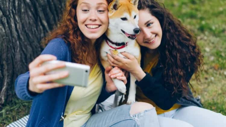 Dogecoin Labs Launches for Payments, Says Crypto