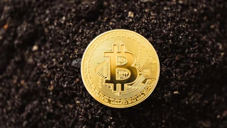 Crypto Community Backs $NUDES as It Rises from the Ashes