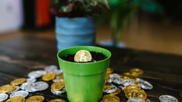 Inflation Concerns Rise — Solana Faces Challenges with Staking