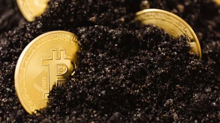 Binance’s bStocks Adds 181K Asset Holders, Leading
